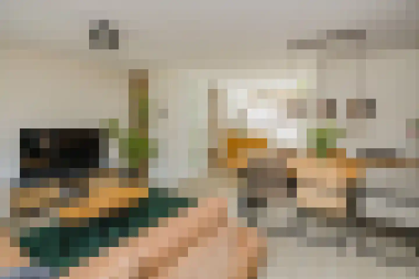 Schoutstraat 4 Alphen aan den Rijn thumbnail 4