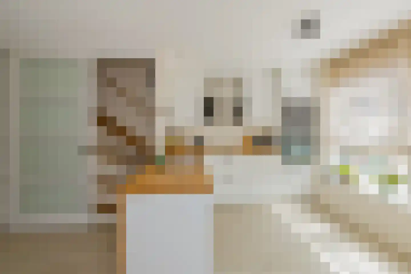 Schoutstraat 4 Alphen aan den Rijn thumbnail 6