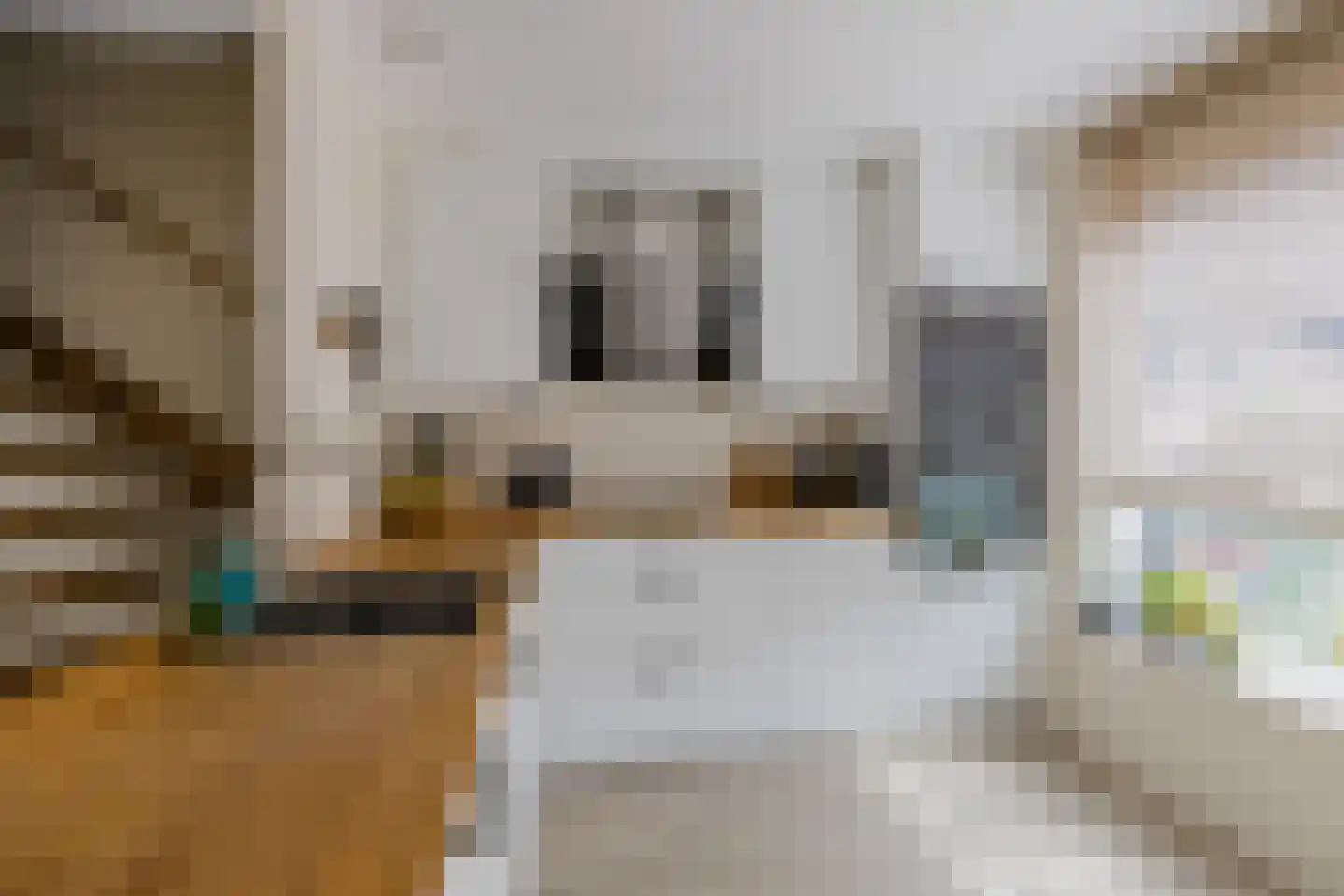 Schoutstraat 4 Alphen aan den Rijn thumbnail 8