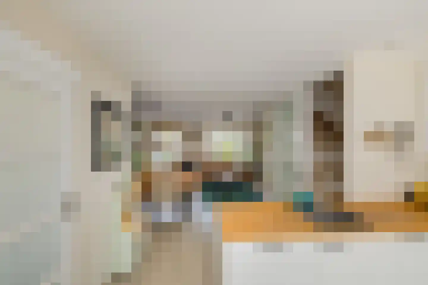 Schoutstraat 4 Alphen aan den Rijn thumbnail 9