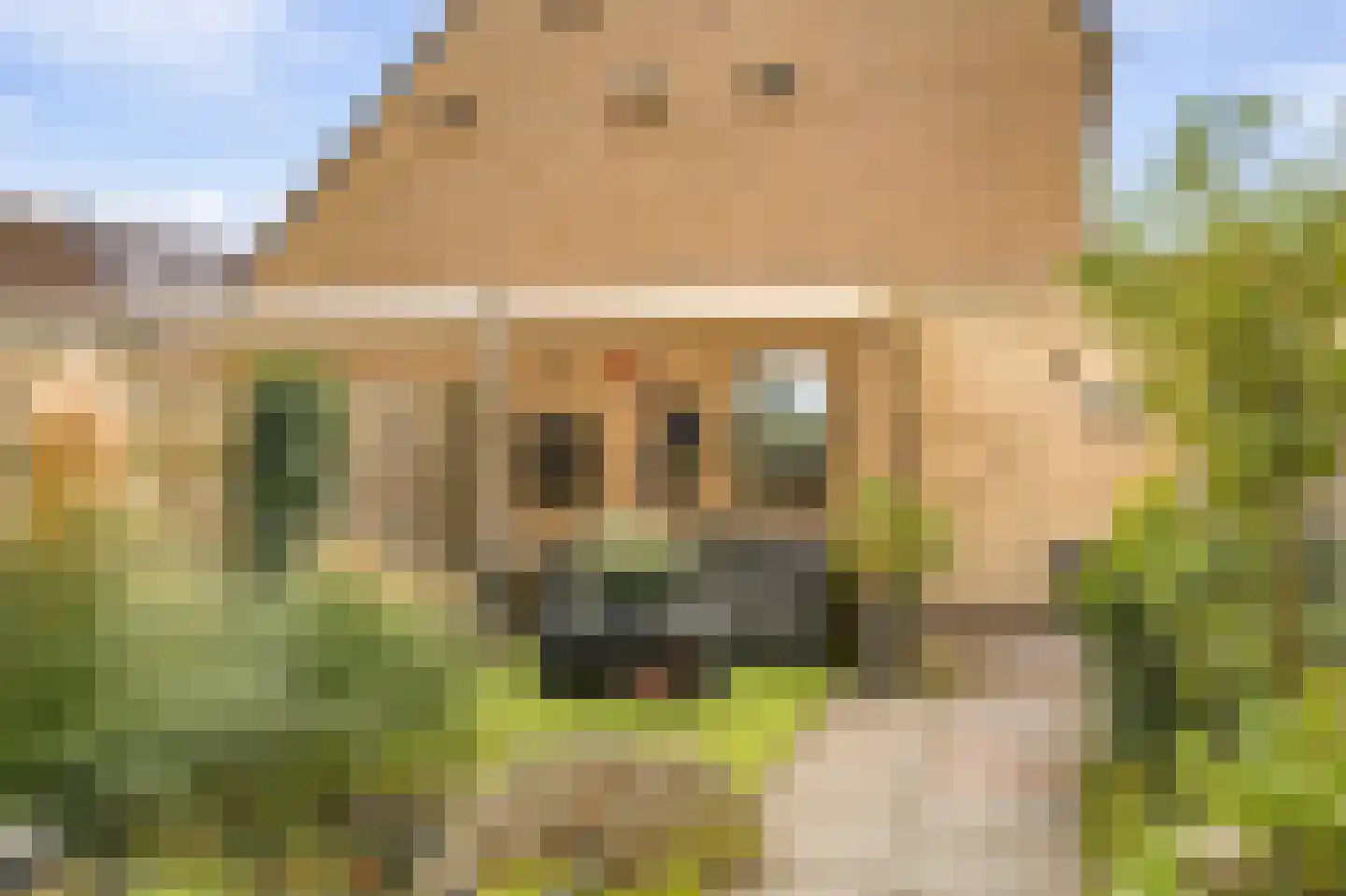 Schoutstraat 42 Ter Aar thumbnail 11