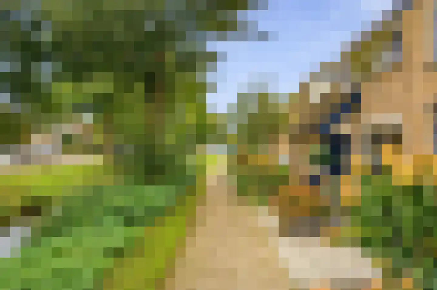 Schoutstraat 42 Ter Aar thumbnail 13