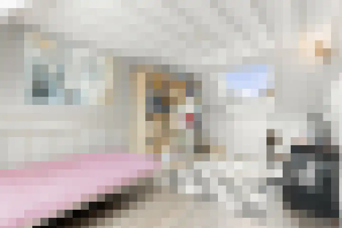 Schoutstraat 42 Ter Aar thumbnail 21