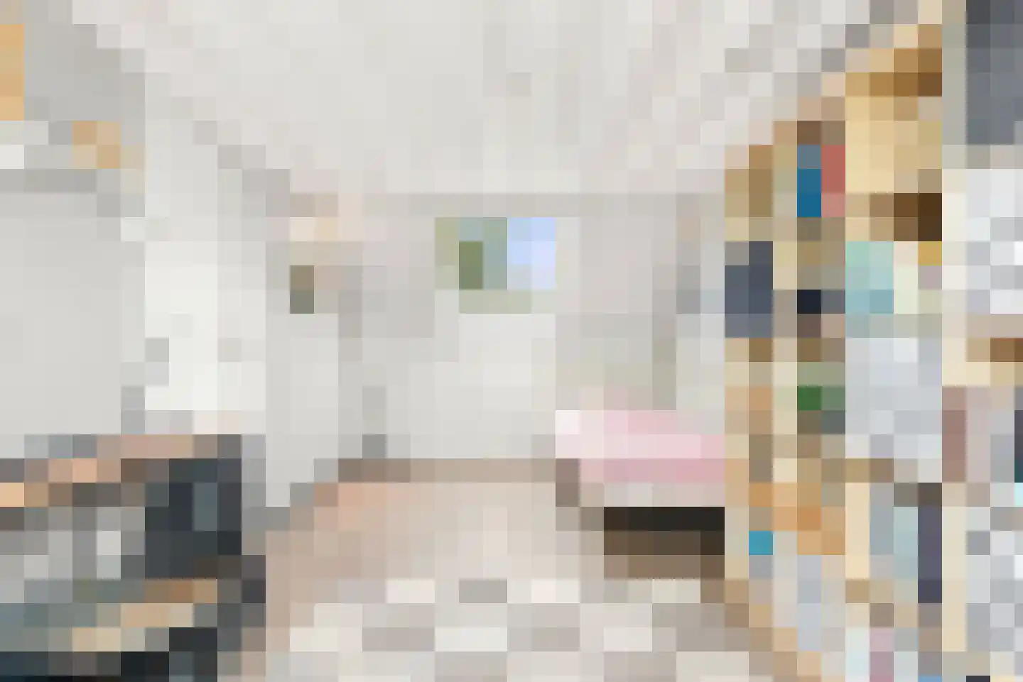 Schoutstraat 42 Ter Aar thumbnail 22
