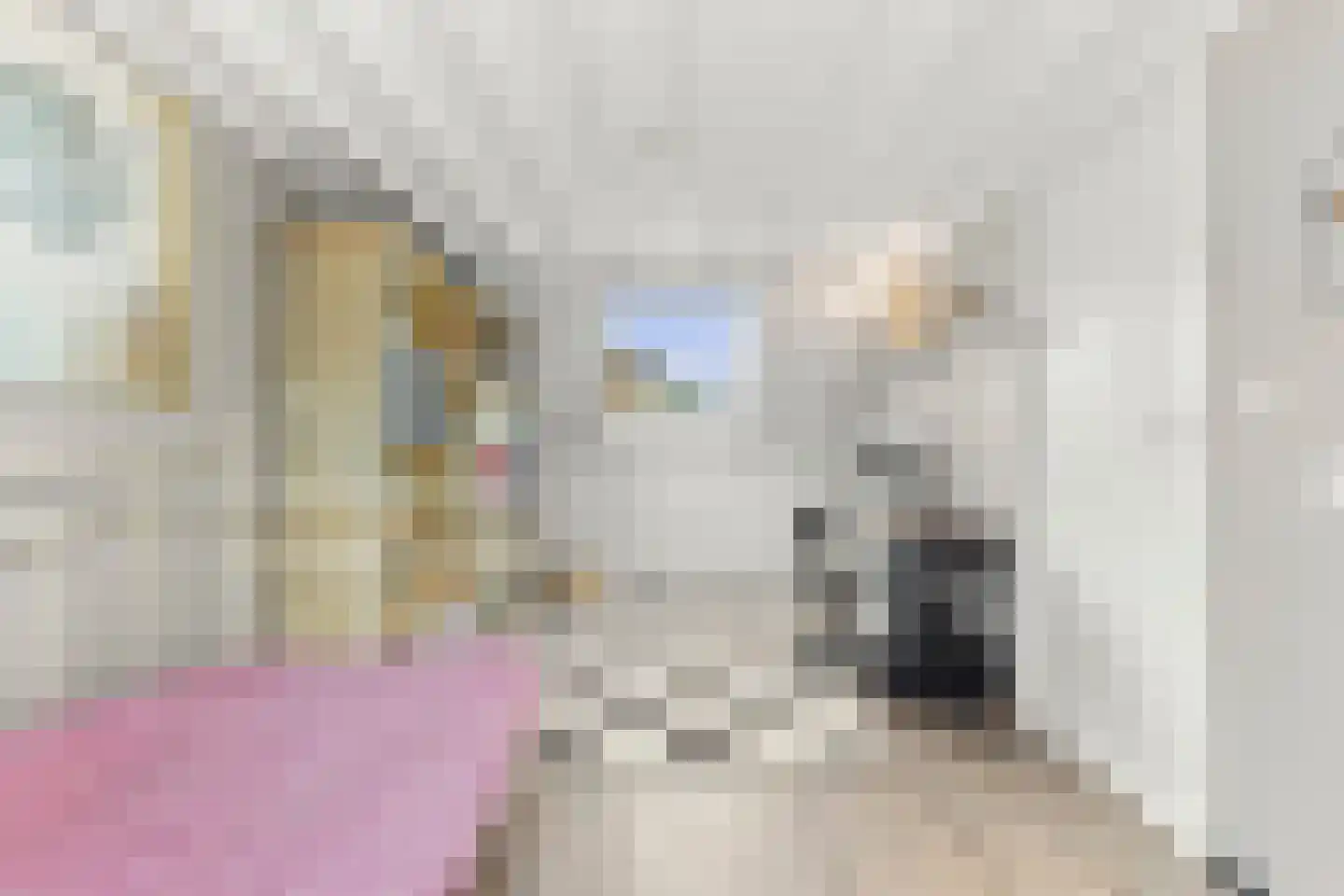 Schoutstraat 42 Ter Aar thumbnail 23