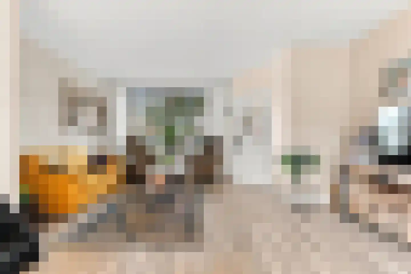 Schoutstraat 42 Ter Aar thumbnail 4
