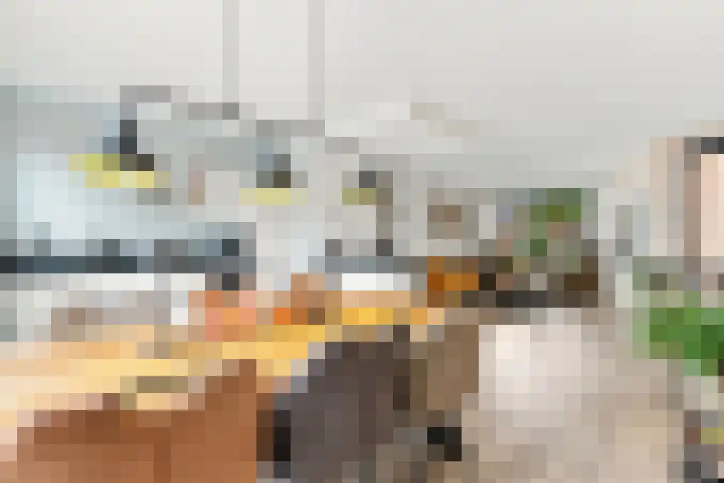 Schoutstraat 42 Ter Aar thumbnail 7