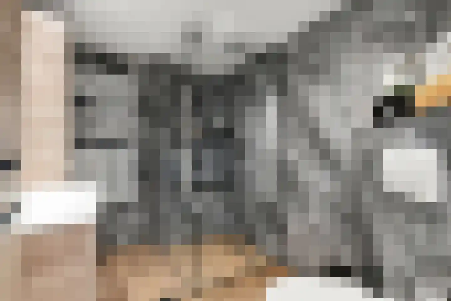 Schoutstraat 42 Ter Aar thumbnail 9