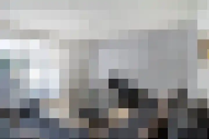 Schoutstraat 5 Geulle thumbnail 12