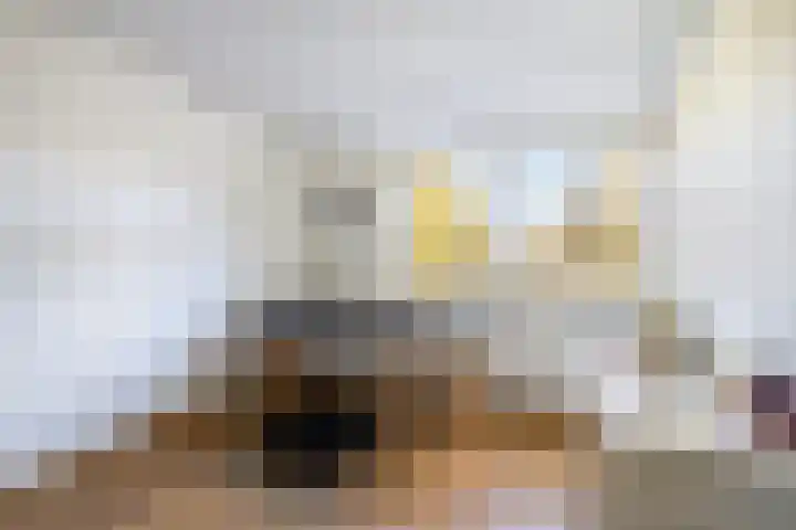 Schoutstraat 5 Geulle thumbnail 21