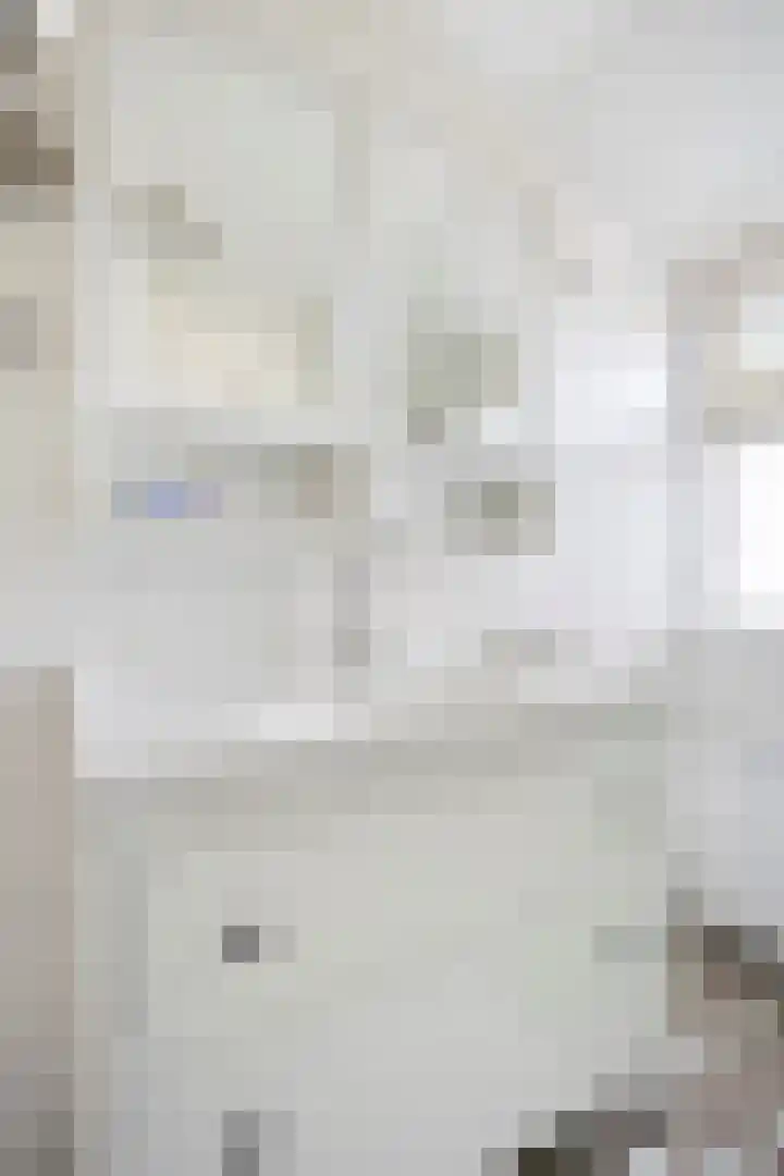 Schoutstraat 5 Geulle thumbnail 24