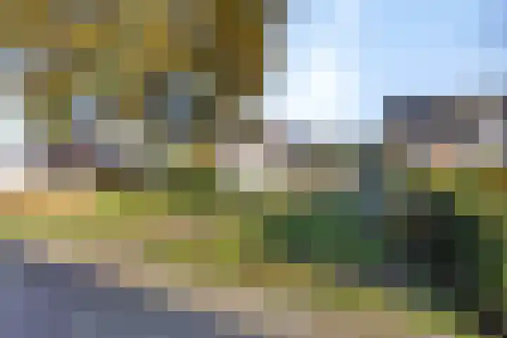 Schoutstraat 5 Geulle thumbnail 33