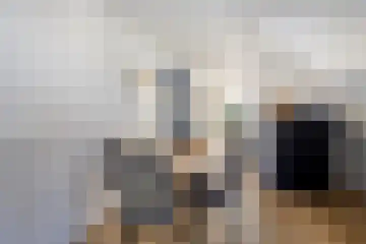Schoutstraat 5 Geulle thumbnail 4