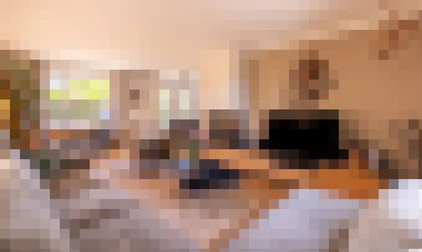 Schoutstraat 52 Gendt thumbnail 10