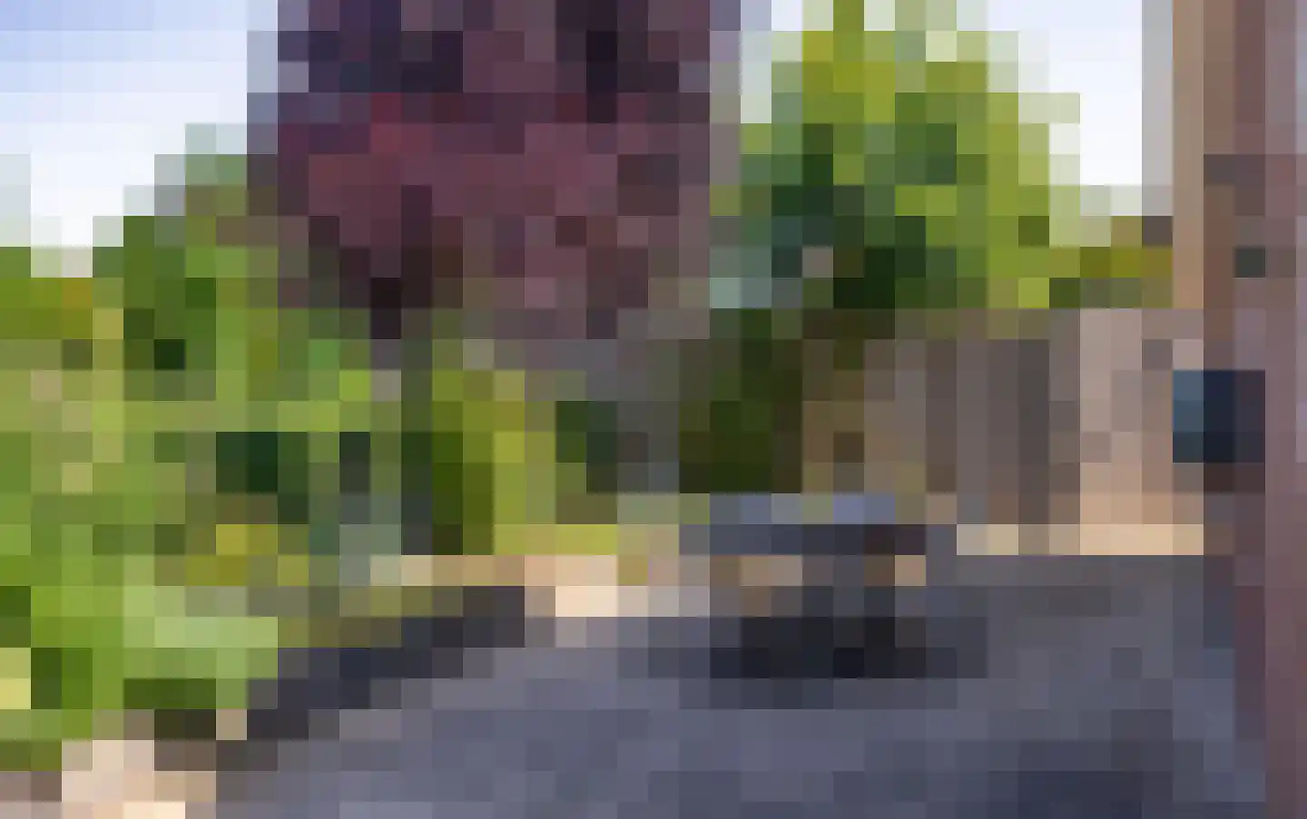 Schoutstraat 52 Gendt thumbnail 25