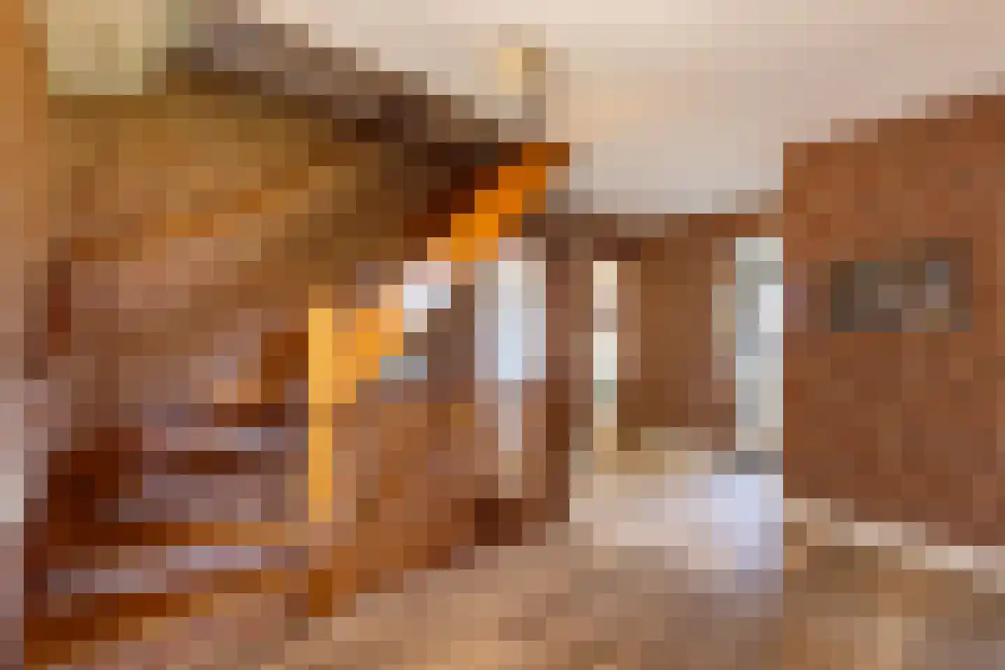 Schoutstraat 52 Gendt thumbnail 30