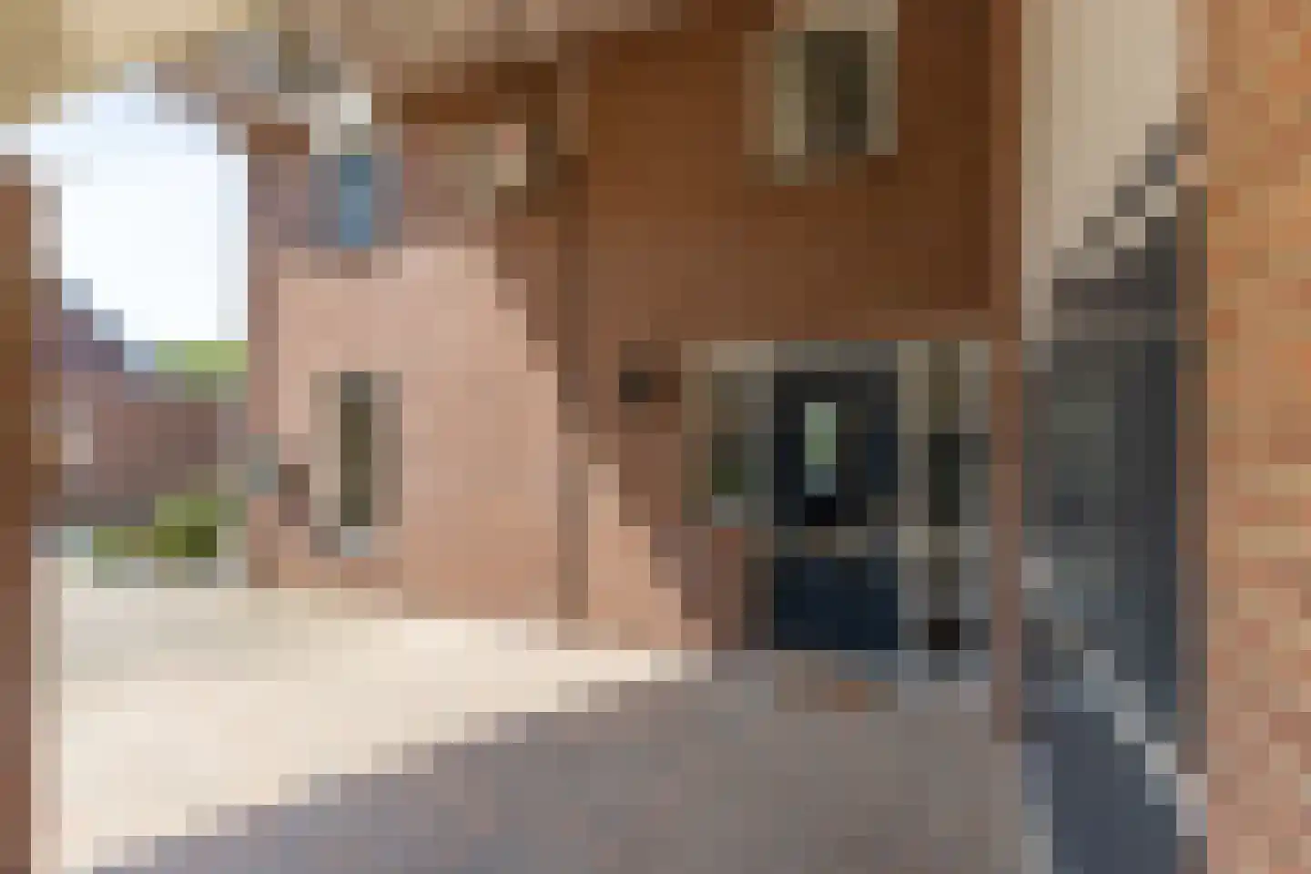 Schoutstraat 52 Gendt thumbnail 7