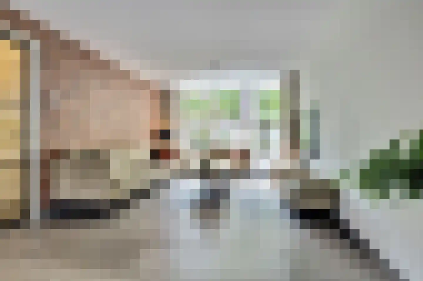 Schoutstraat 53 Bladel thumbnail 10