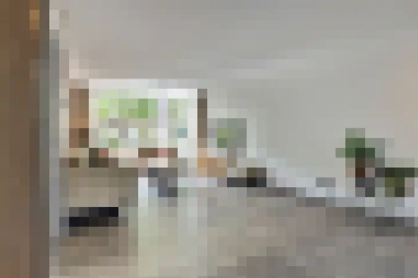 Schoutstraat 53 Bladel thumbnail 11