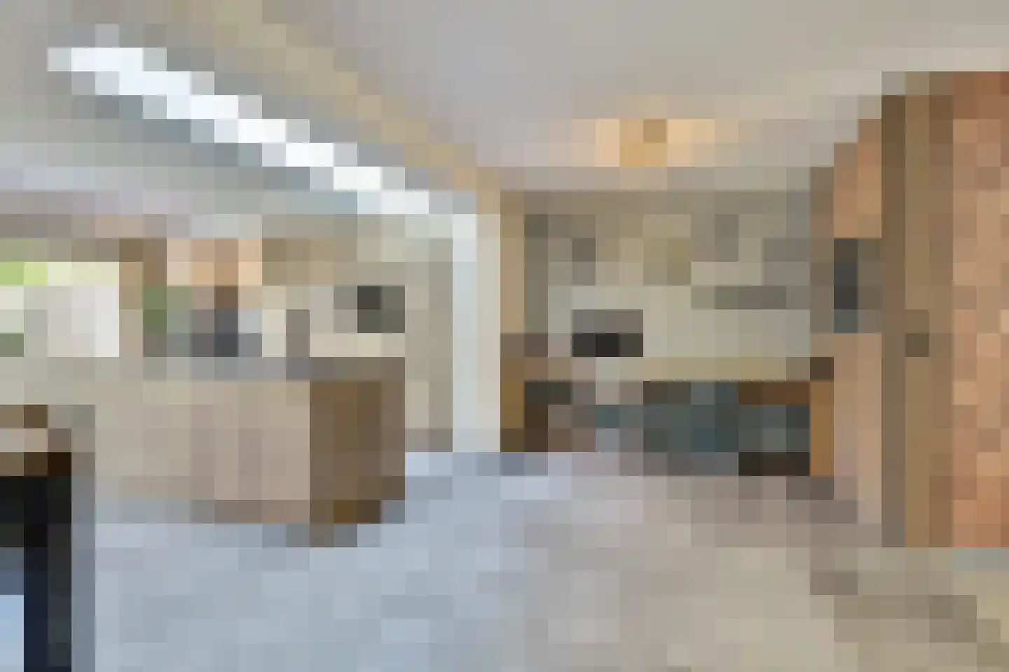 Schoutstraat 53 Bladel thumbnail 15