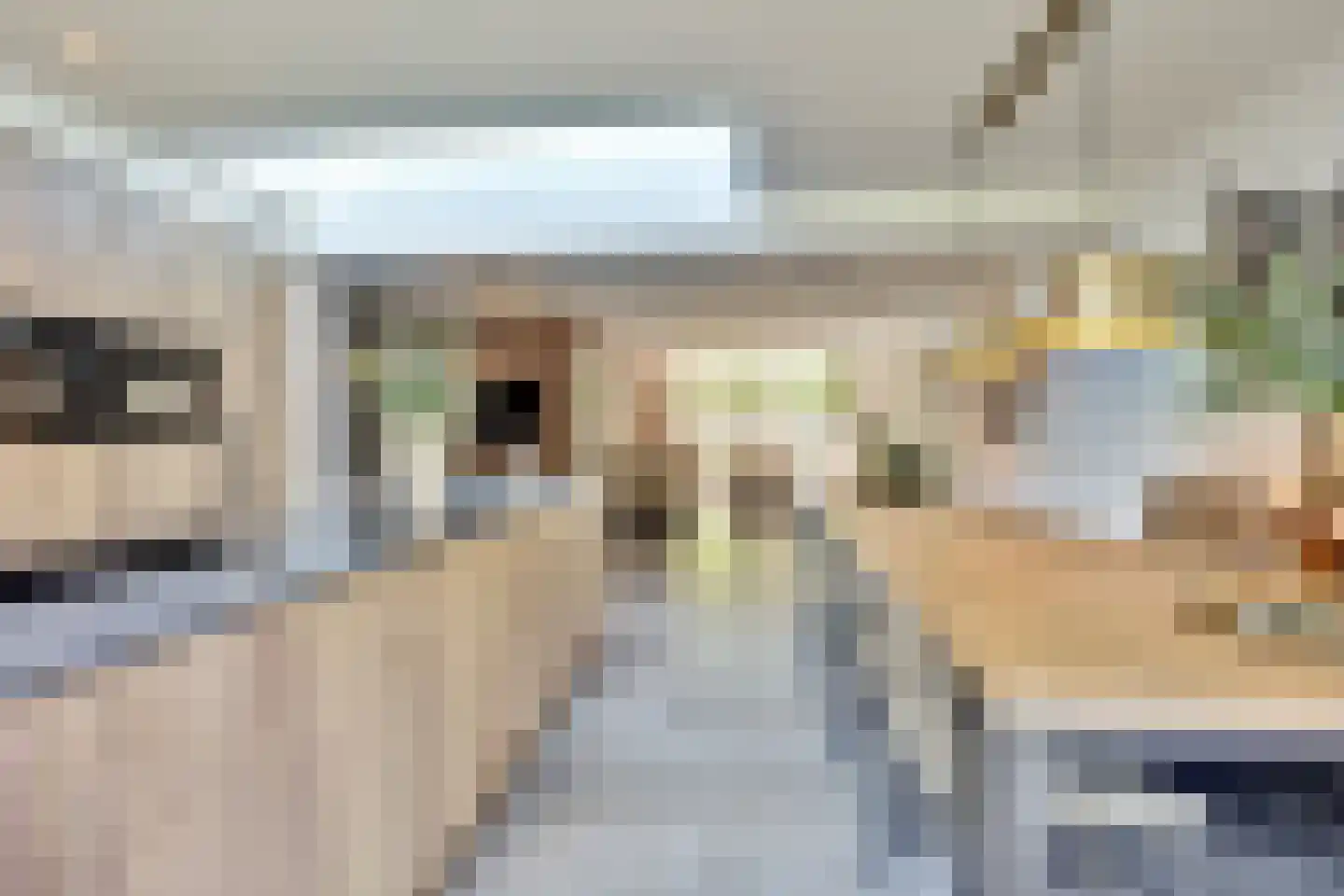 Schoutstraat 53 Bladel thumbnail 19