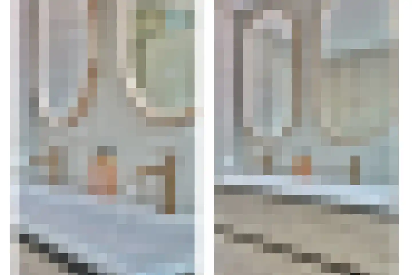 Schoutstraat 53 Bladel thumbnail 33