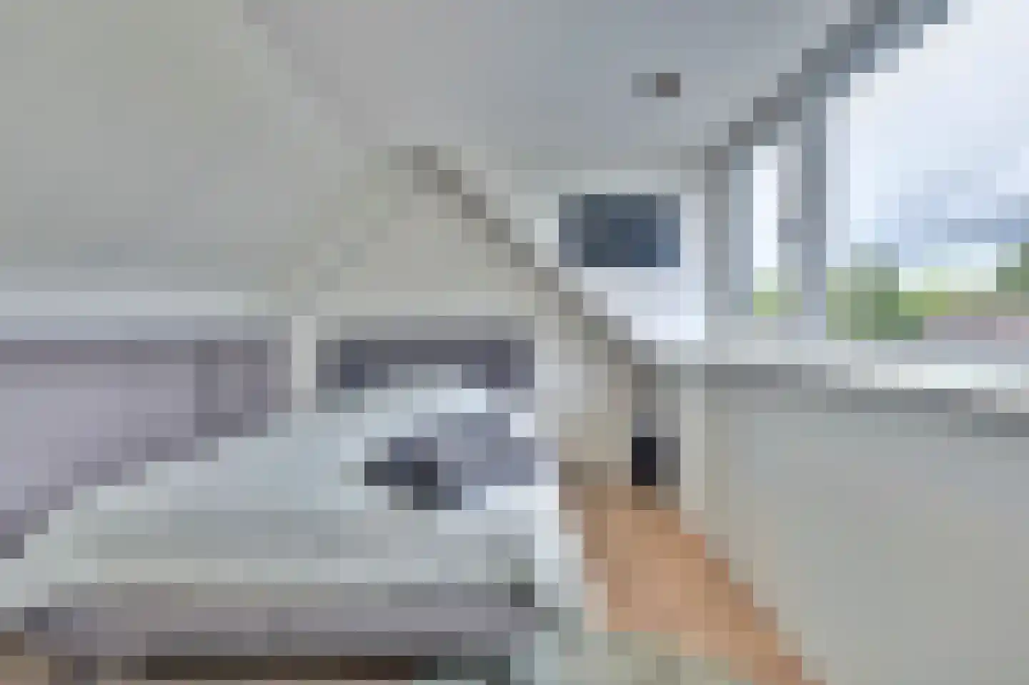 Schoutstraat 53 Bladel thumbnail 38