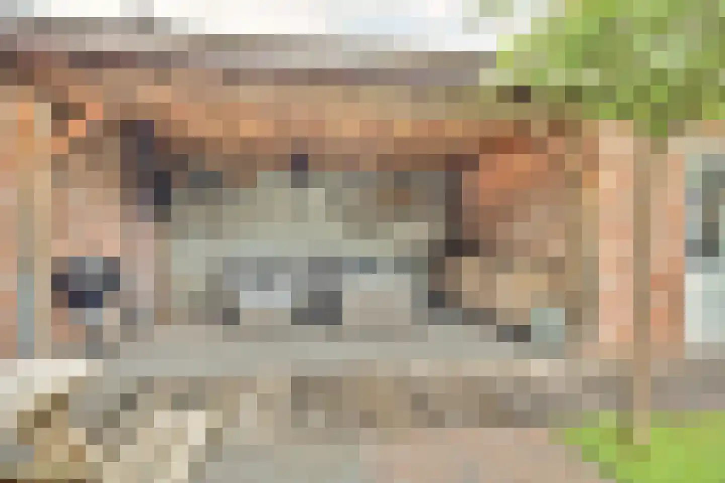 Schoutstraat 53 Bladel thumbnail 4