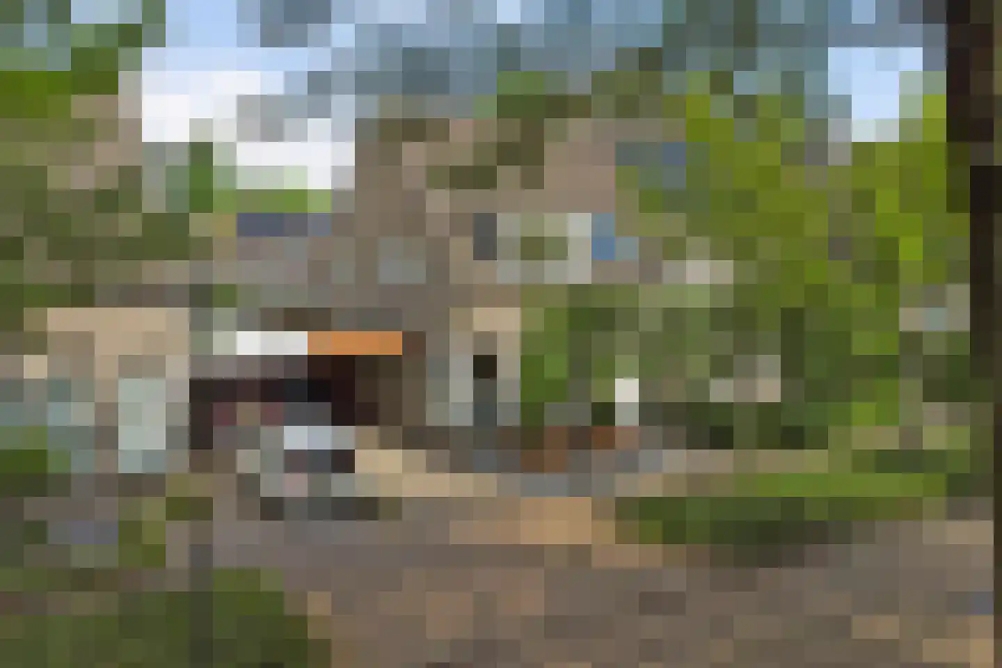 Schoutstraat 53 Bladel thumbnail 48