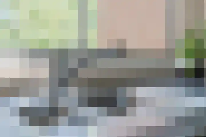 Schoutstraat 63 Geldrop thumbnail 13