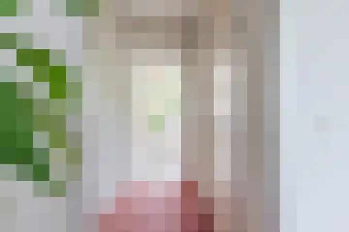 Schoutstraat 63 Geldrop thumbnail 20