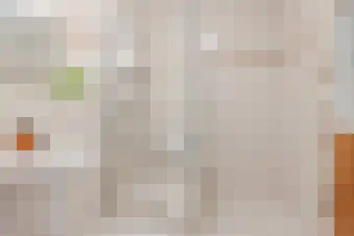 Schoutstraat 63 Geldrop thumbnail 21
