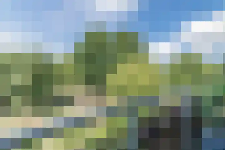 Schoutstraat 63 Geldrop thumbnail 25