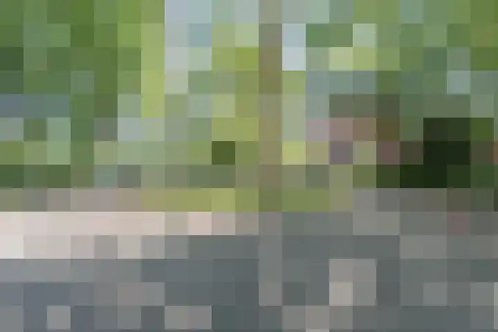 Schoutstraat 63 Geldrop thumbnail 28