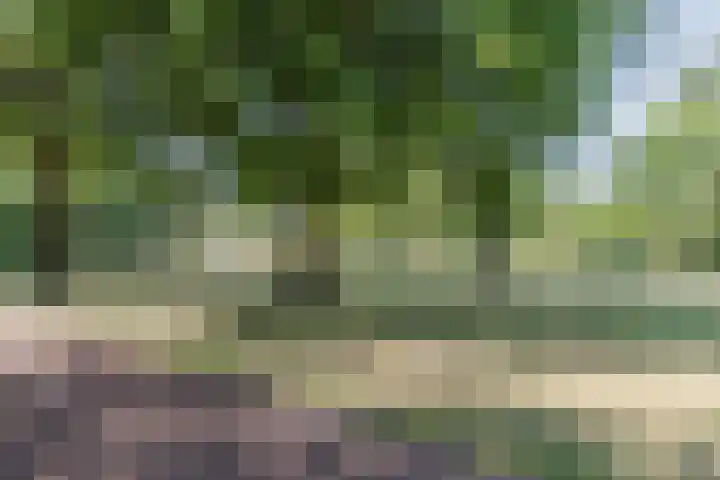 Schoutstraat 63 Geldrop thumbnail 29