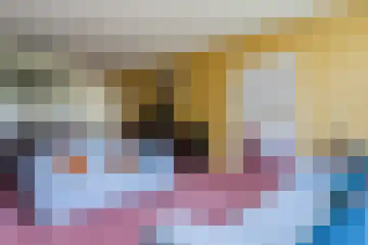 Schoutstraat 63 Geldrop thumbnail 9
