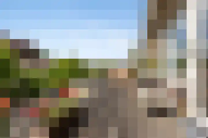 Schoutstraat 7 Nijmegen thumbnail 18