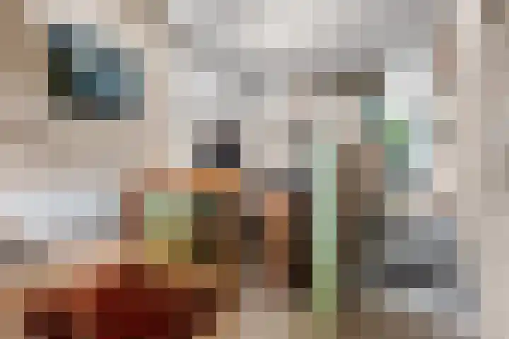 Schoutstraat 7 Nijmegen thumbnail 6
