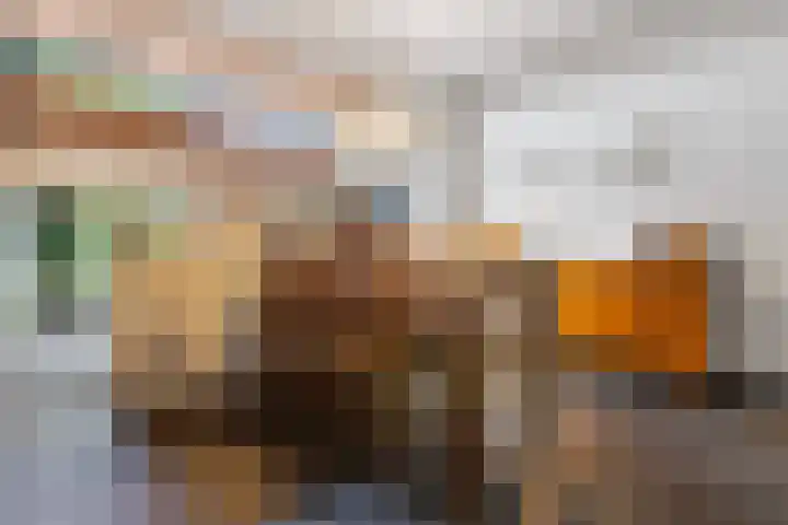 Schoutstraat 7 Nijmegen thumbnail 7