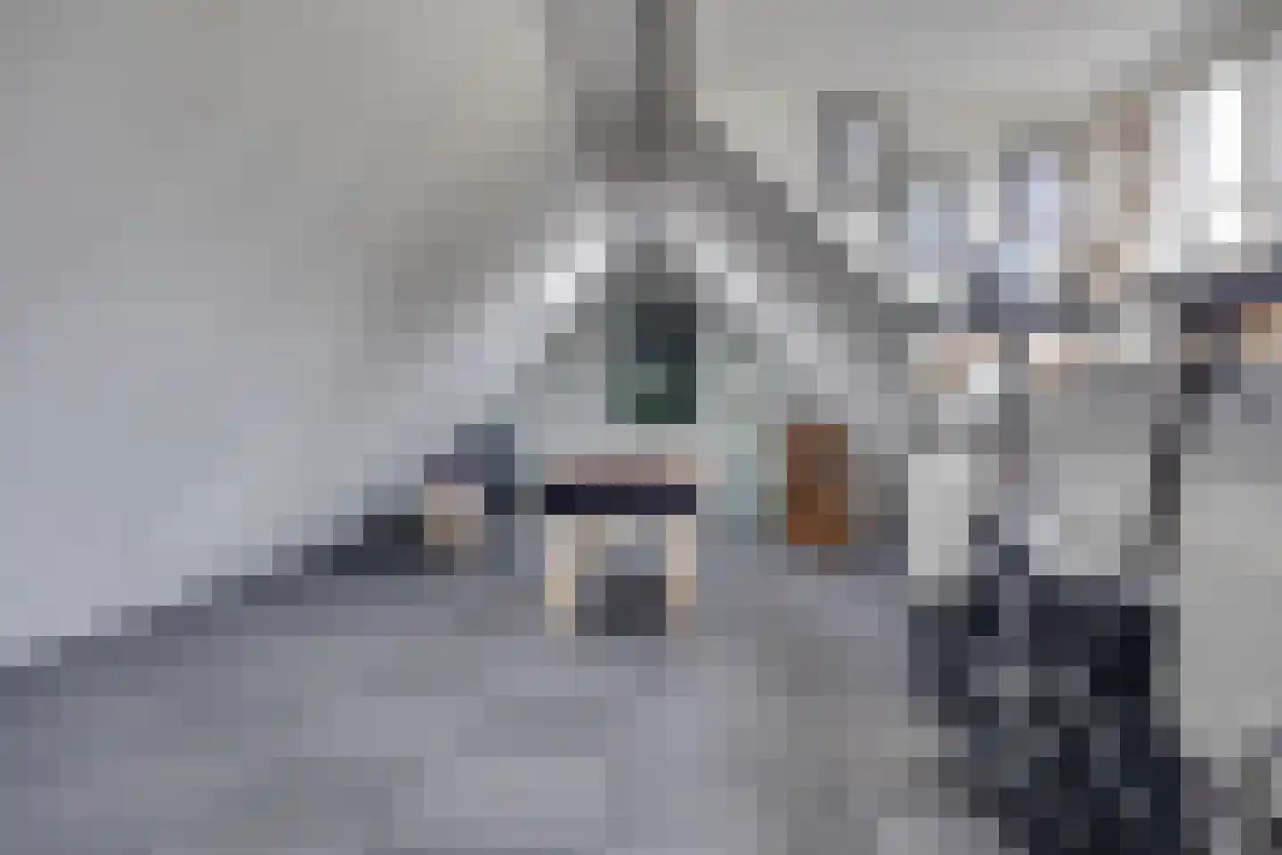 Schoutstraat 7 Woudenberg thumbnail 21