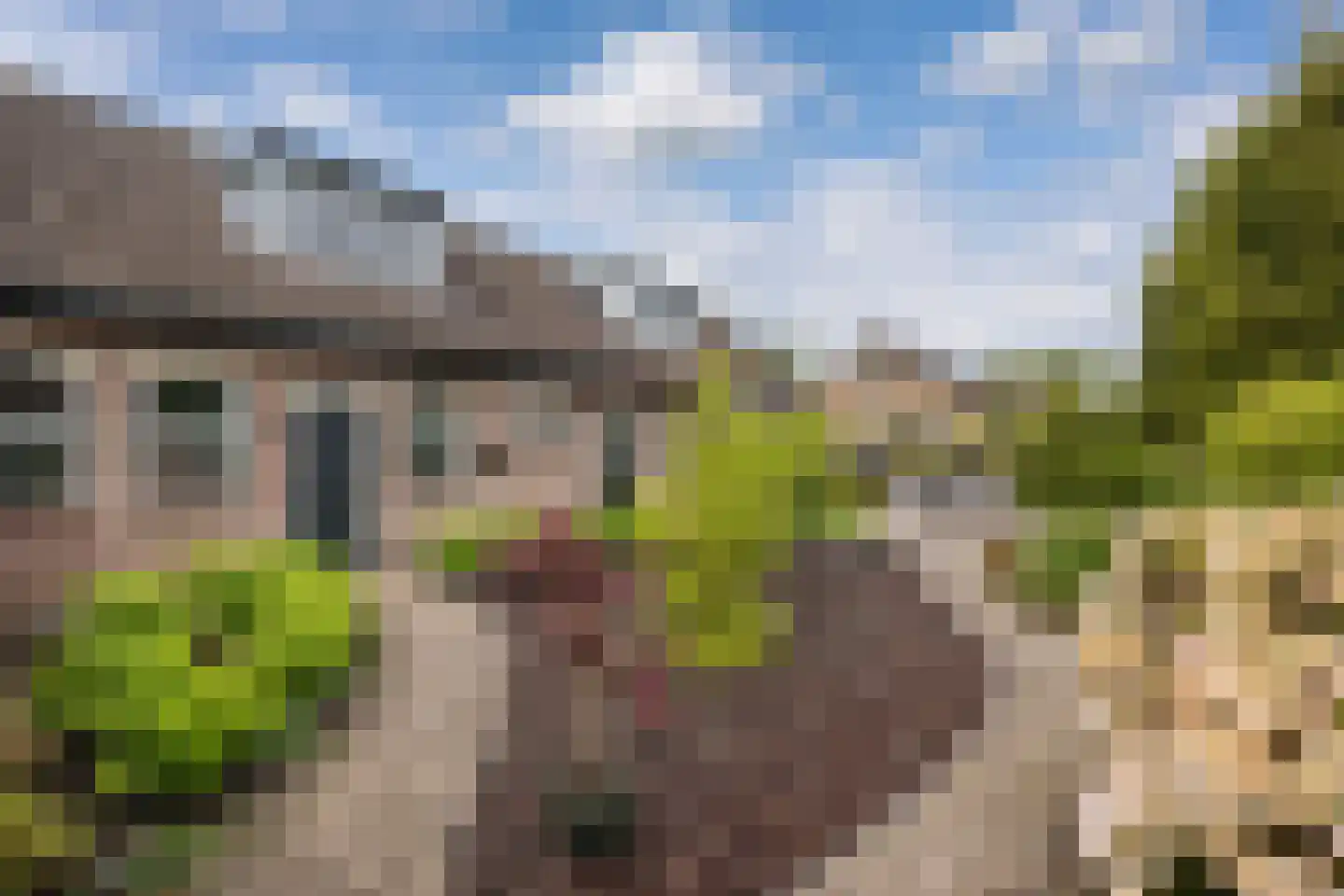 Schoutstraat 7 Woudenberg thumbnail 28