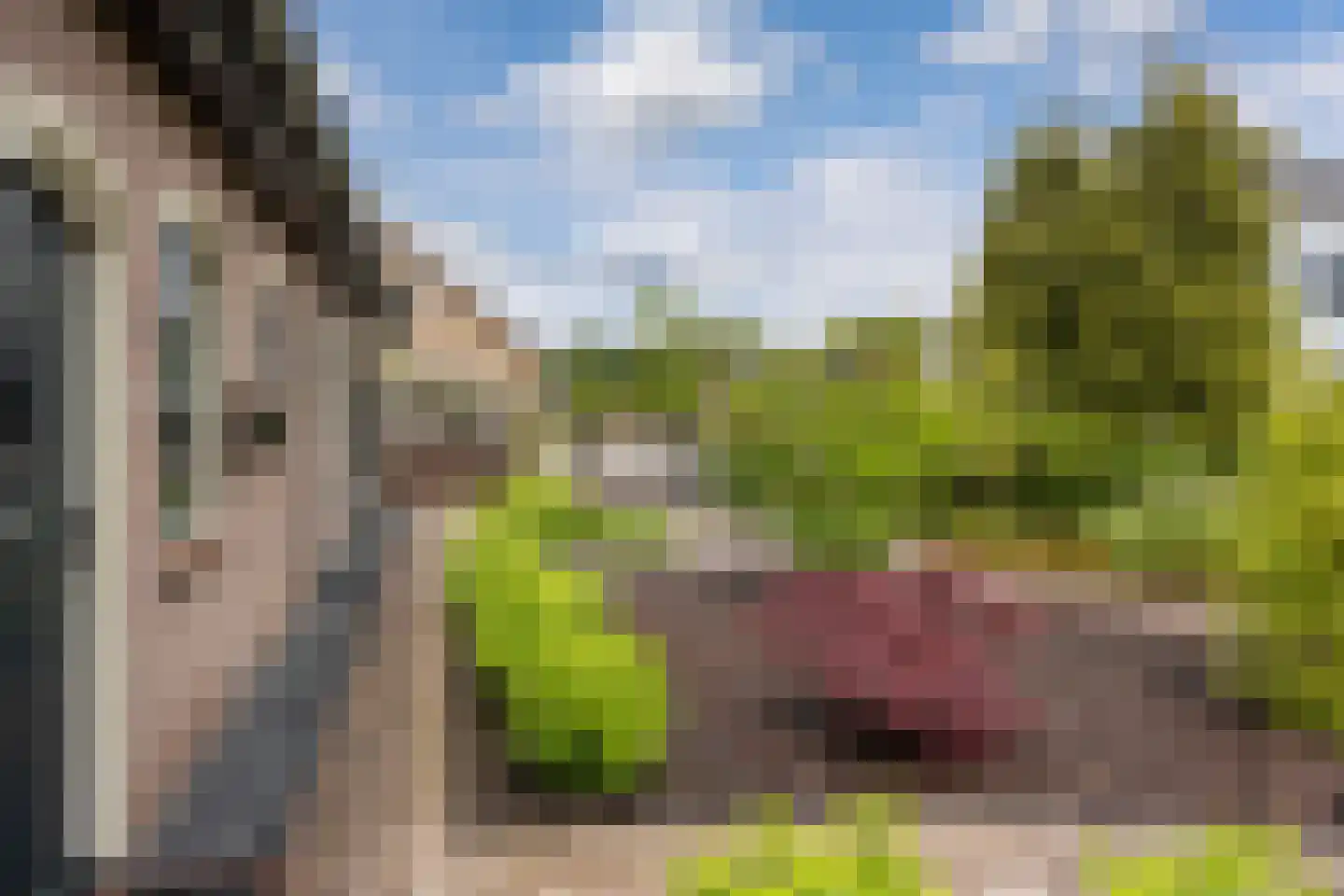 Schoutstraat 7 Woudenberg thumbnail 30