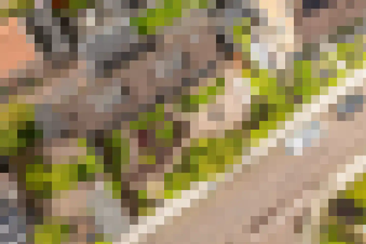 Schoutstraat 7 Woudenberg thumbnail 36