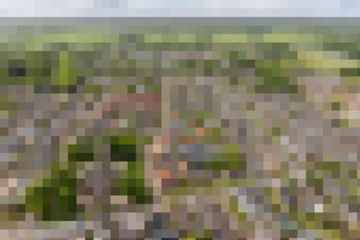 Schoutstraat 7 Woudenberg thumbnail 37