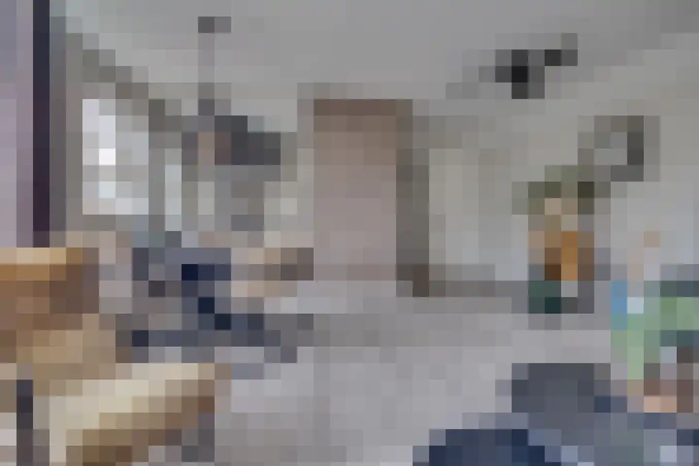 Schoutstraat 7 Woudenberg thumbnail 8