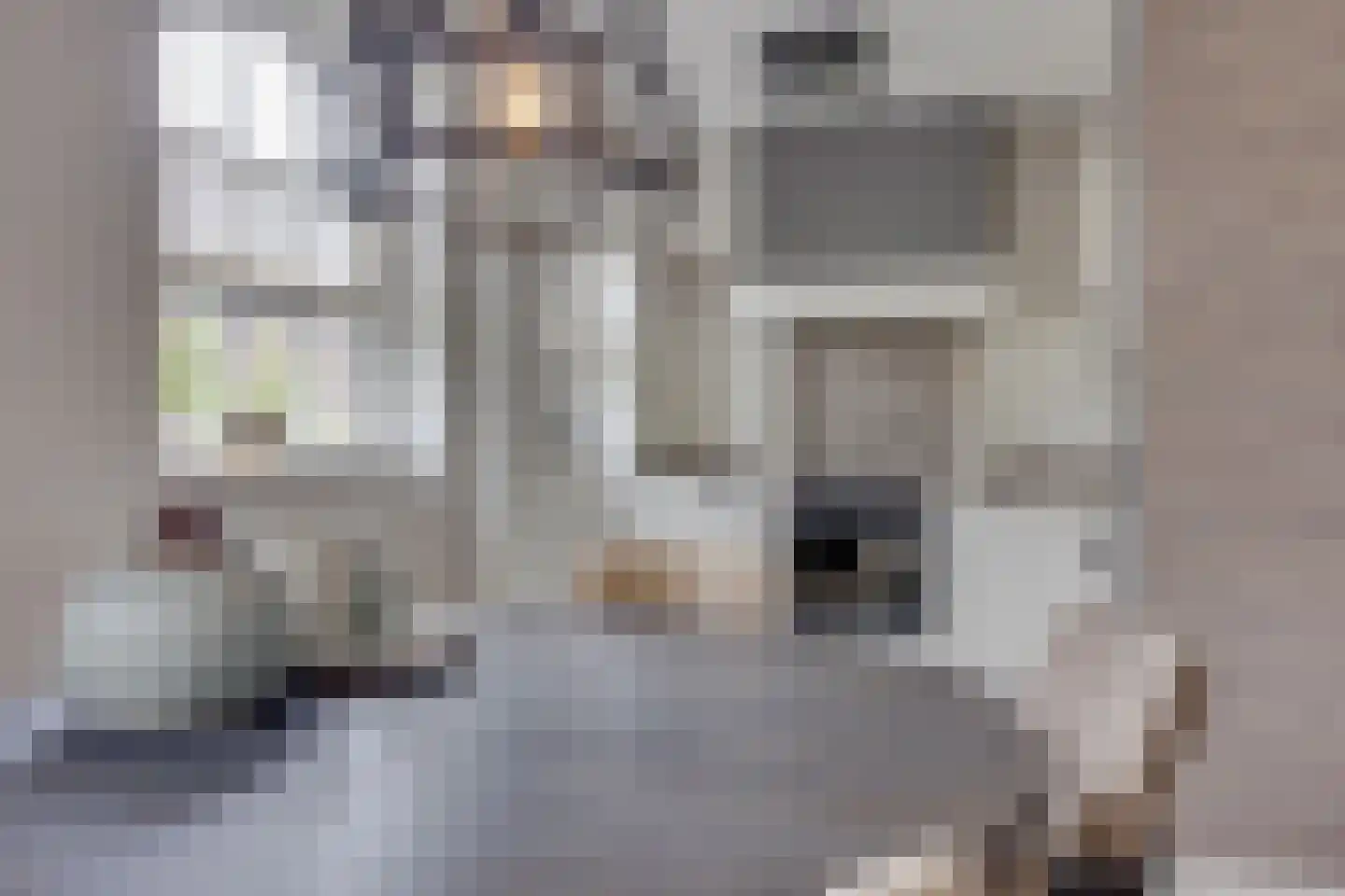 Schoutstraat 7 Woudenberg thumbnail 9