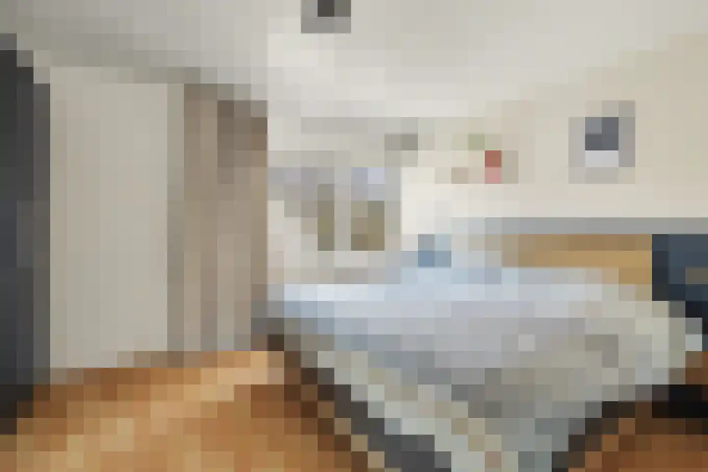 Schoutstraat 73 Middelburg thumbnail 15
