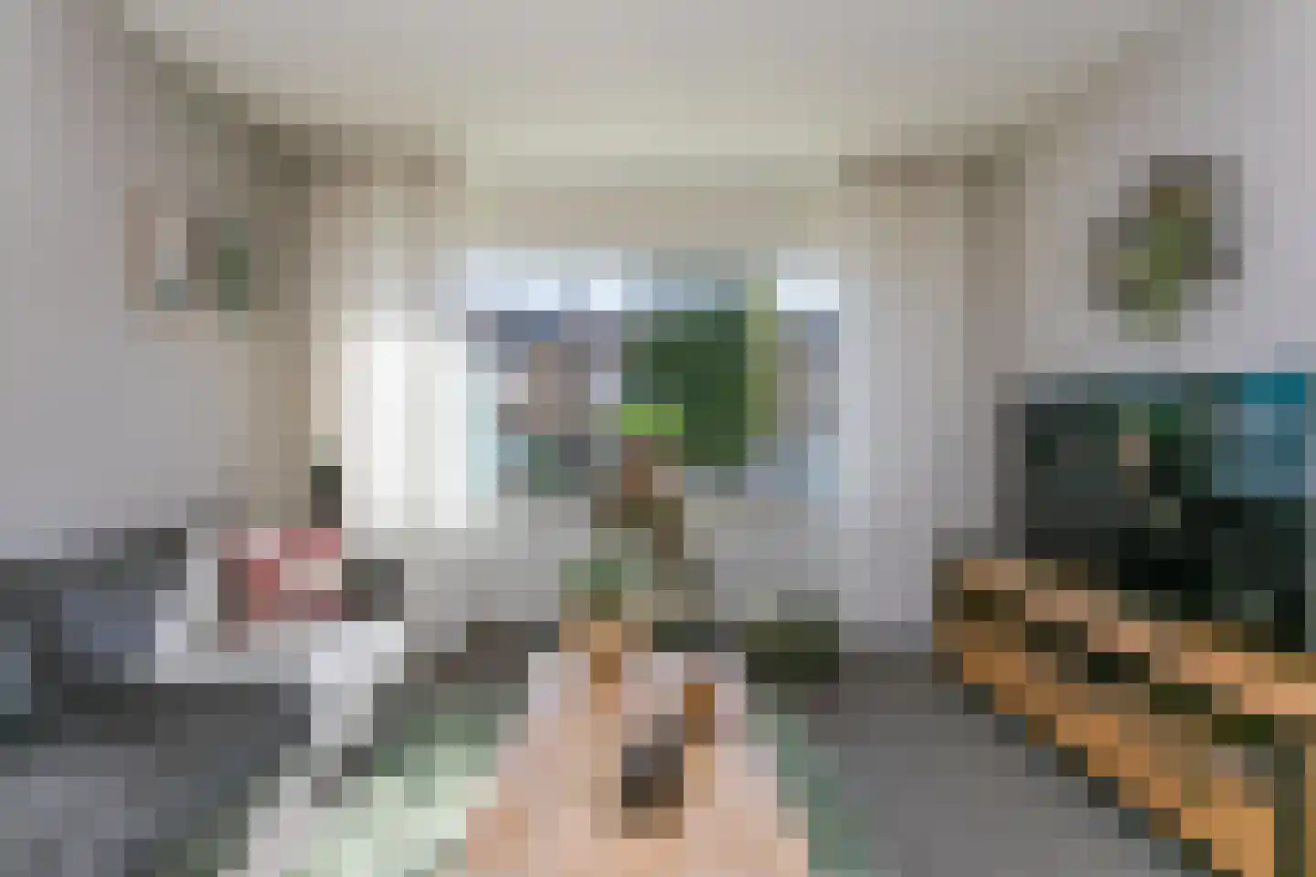 Schoutstraat 8 Brunssum thumbnail 5