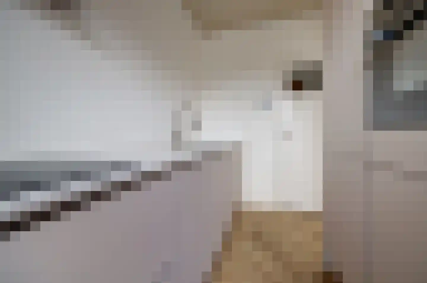 Schoutstraat 8 Rijen thumbnail 18
