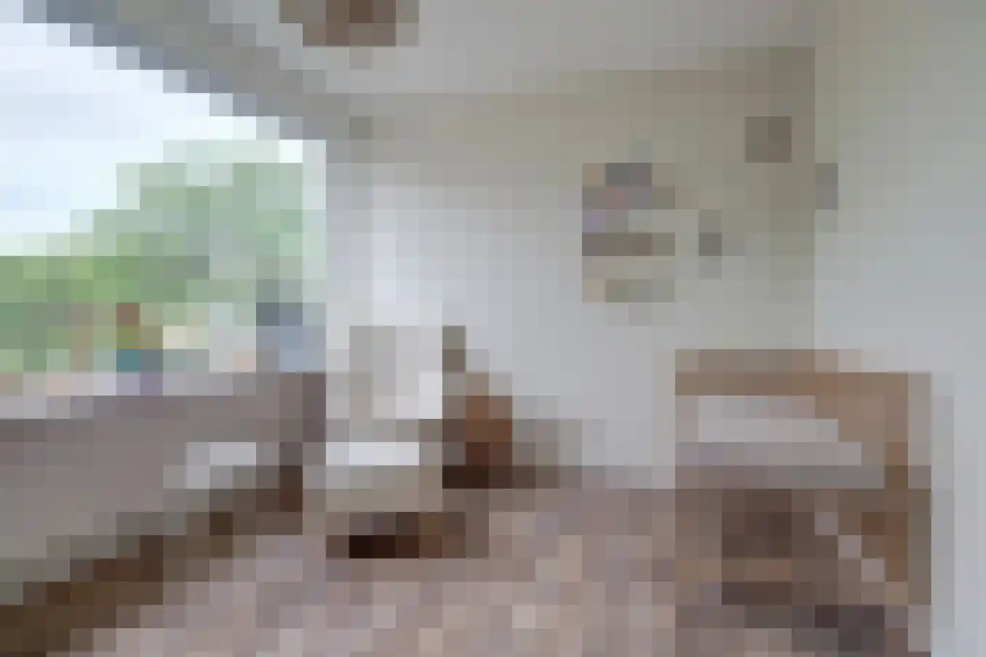 Schoutstraat 8 Rijen thumbnail 23